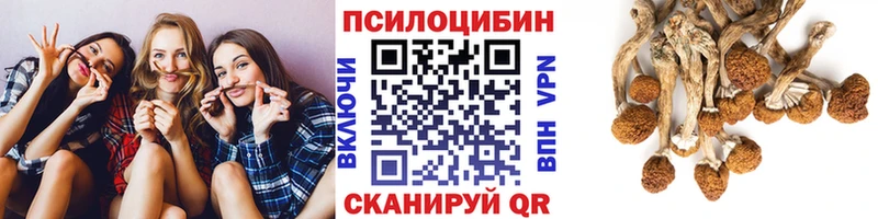 Галлюциногенные грибы мицелий  Морозовск 