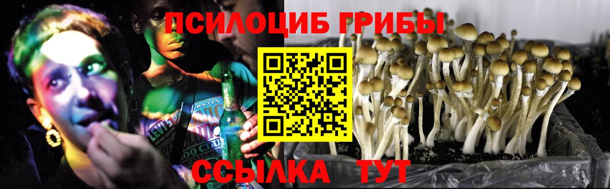 Морозовск  Галлюциногенные грибы ЛСД  Вход с VPN 